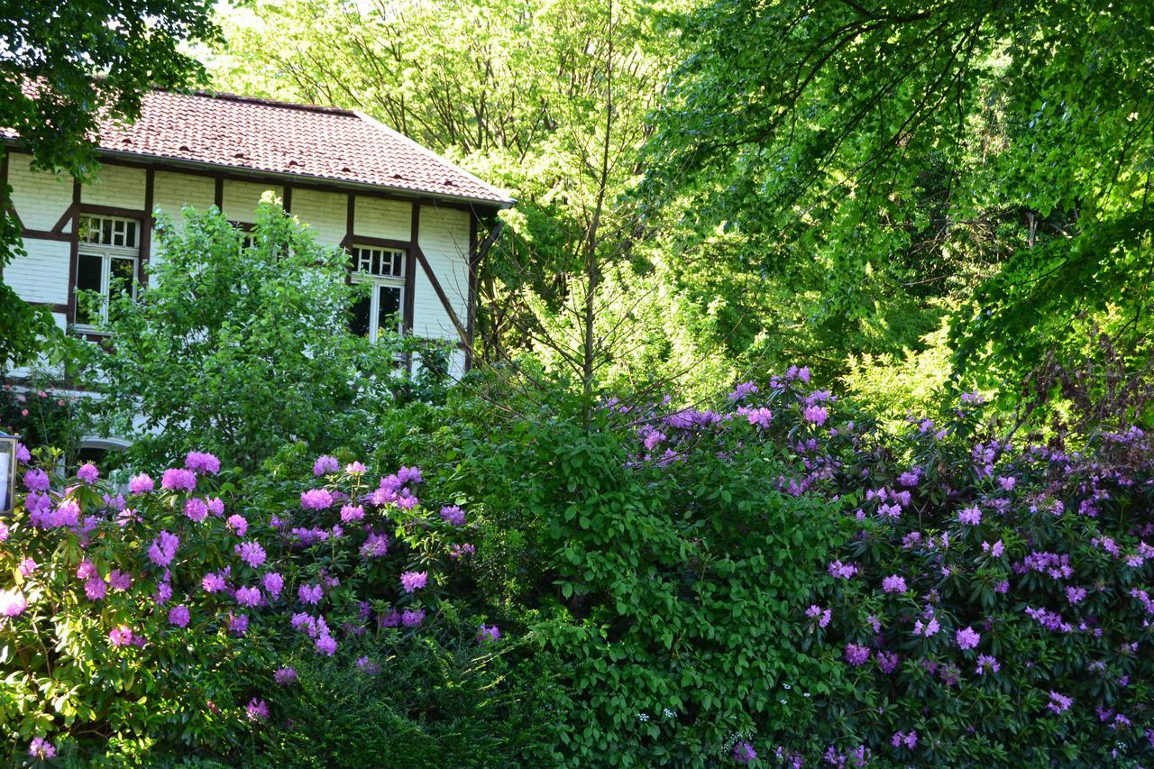 Hotel Gottesgabe à Rheine Extérieur photo