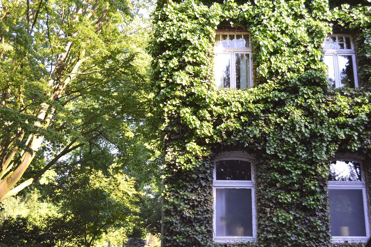 Hotel Gottesgabe à Rheine Extérieur photo